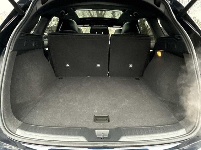 2023 INFINITI QX50 SPORT