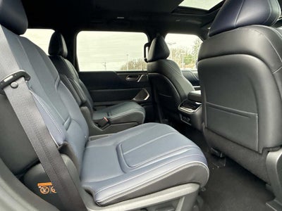 2026 INFINITI QX80 SPORT